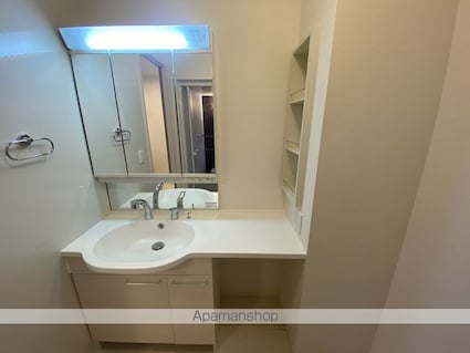 Ｄーｒｏｏｍ京香[1LDK/40.53m2]の洗面所