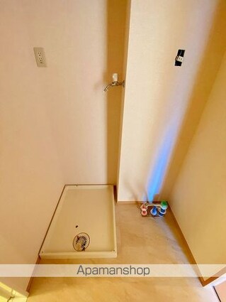 リュイール　Ⅱ[1LDK/50.29m2]の洗面所