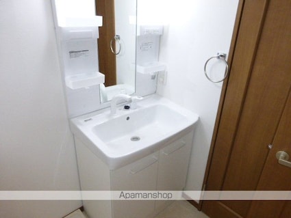 グリーンメゾン白鳥[2LDK/53m2]の洗面所