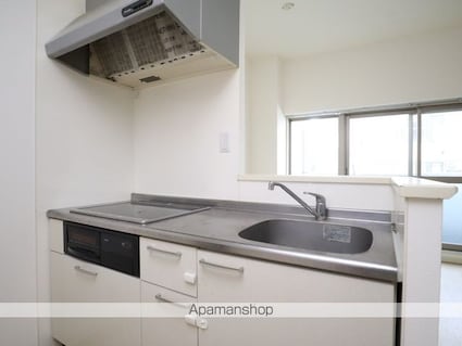 ムーランマグノリア[1LDK/46.96m2]のキッチン