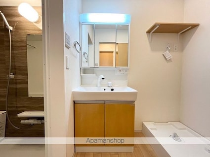 Ｖｉａ　Ｌｕｃｅ（ヴィア　ルーチェ）[2LDK/54.88m2]の洗面所