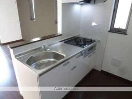 Ｔｅｒｒａｃｅ　Ｔａｍｉａｓ[1LDK/41.75m2]のキッチン