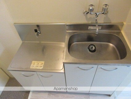 プラザドゥクリムゾン[1R/14m2]のキッチン