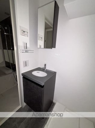 レピュア豊島園レジデンス[1R/21.63m2]の洗面所