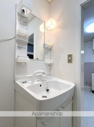 ホワイトハイムタナカ[2DK/36.7m2]の洗面所