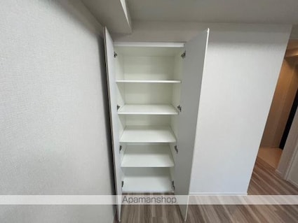 ジオエント秋葉原[2LDK/47.96m2]の収納