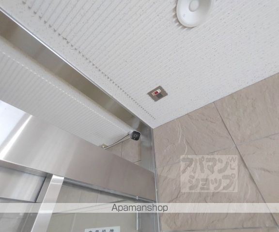 ステラムのその他写真