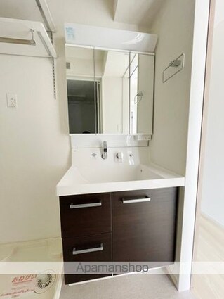 リズ・フォーチュン　Ⅱ[1K/33.2m2]の洗面所