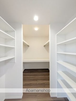 プラント　Ｃ棟[2LDK/59.57m2]の収納