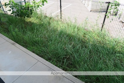 ハイツ井上[3DK/53.68m2]のバルコニー