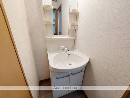 ブラウンハイム朝生田[1K/30.19m2]の洗面所