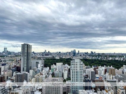 富久クロスコンフォートタワー[3LDK/69.86m2]の眺望