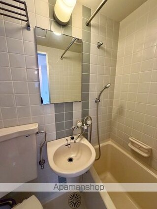 ステアウェル本郷[1R/19m2]の洗面所