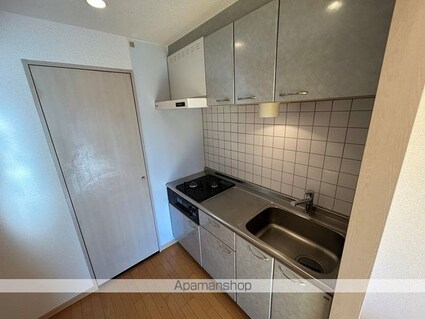 パークフロント西新宿[1R/34.54m2]のキッチン