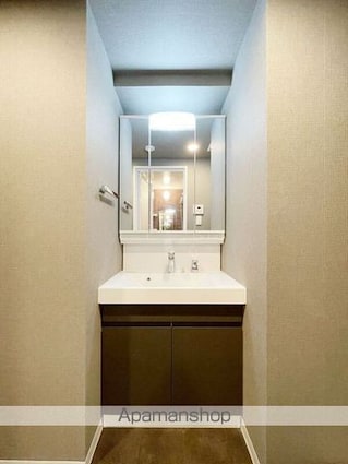 ＳーＲＥＳＩＤＥＮＣＥ板橋大山ｂｒｉｍ[2LDK/50.65m2]の洗面所