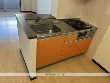 ラ・フォート己斐本町[1LDK/35.52m2]のキッチン