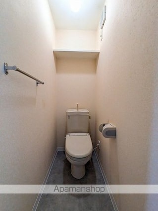 ビューテラス大谷[2LDK/56m2]のトイレ