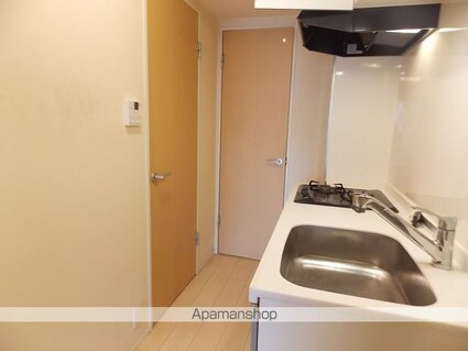 ゴールデンハイム水野[1R/30.2m2]の内装4