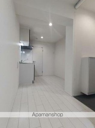 ザ・クラスアーバンス水道橋本郷[1R/23.2m2]の内装3