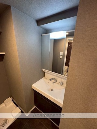 ＳーＲＥＳＩＤＥＮＣＥ板橋大山ｂｒｉｍ[1SLDK/47.5m2]の洗面所