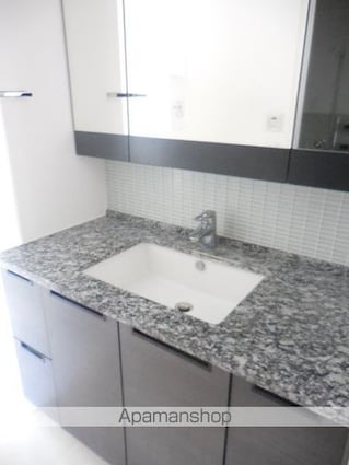 パークハウス飯田橋レジデンス[1LDK/47.76m2]の洗面所