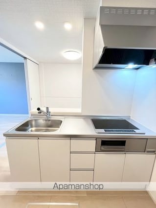 ロイズ紀三井寺Ⅱ[1LDK/50.14m2]のキッチン