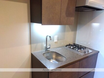 ザ・パークハビオ板橋区役所前[1K/27.21m2]のキッチン