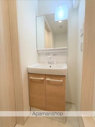 立川セイワレジデンスⅡ[1LDK/36.17m2]の洗面所