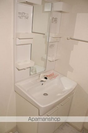 リバーサイド紫雲[2DK/44.75m2]の洗面所