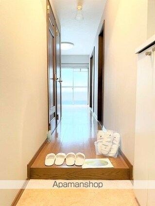 峰マンション[1SDK/37.56m2]の玄関