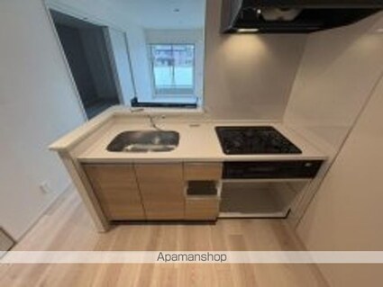 ＬＵＣＩＥ　ＴＳⅡ[1LDK/45.04m2]のキッチン