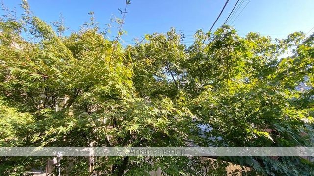 パレスコンフォート学南町のその他写真