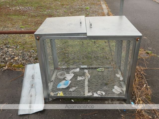プラティのその他写真