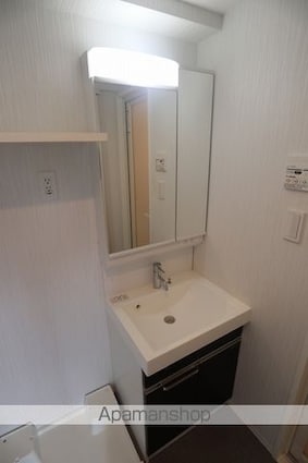 ルフレイムーブル立川[1K/23.05m2]の洗面所