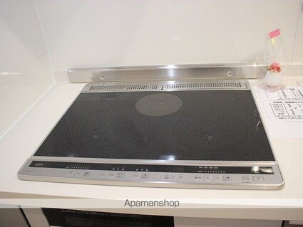 ＤーｒｏｏｍＣＶＩＩＩ[2LDK/52.57m2]の内装6