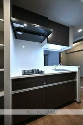 ＧＲＡＮＳＩＴＥ千代田水道橋[1LDK/30.48m2]のキッチン