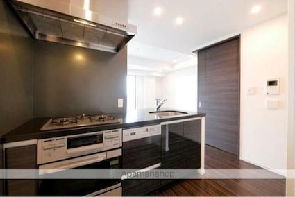 コンフォリア新宿イーストサイドタワー[1LDK/55.47m2]のキッチン