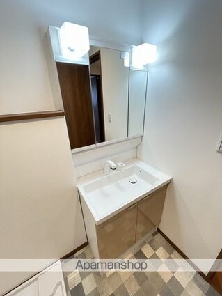 アルプス[1LDK/39.74m2]の洗面所