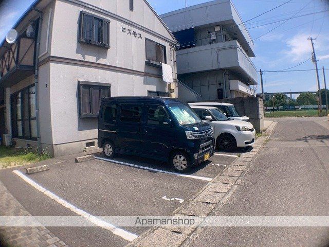 コスモスのその他写真