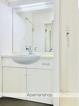 スカイフィールド国立[1LDK/46.91m2]の洗面所