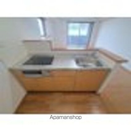 ブラッサム・ユー[1R/35.1m2]のキッチン