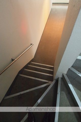 クリサンテームのその他写真
