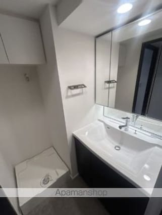 サンウッドフラッツ新宿四谷三丁目[1DK/33.22m2]の洗面所