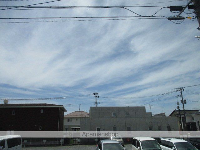 ソレジオオリビアのその他写真