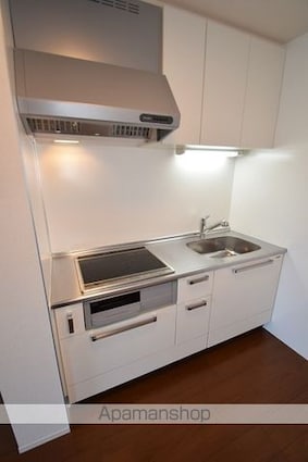ライジングサンⅢ[1LDK/40.04m2]のキッチン