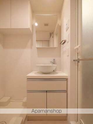 プレミアムキューブＧ西大井[1K/20.8m2]の洗面所