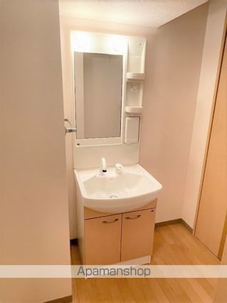 長野県下伊那郡松川町元大島[2LDK/51.66m2]の洗面所