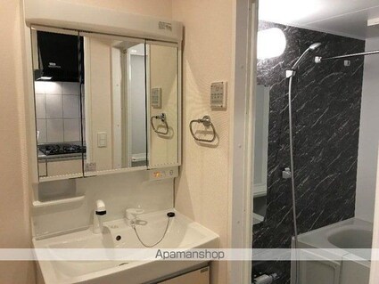 ミ・ルーチェ[1K/30.87m2]の洗面所