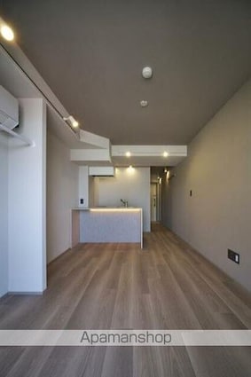 ｔｈｅ　ｔｒｉａｓ　ｋａｓｈｉｗａ[1R/20.5m2]のリビング・居間