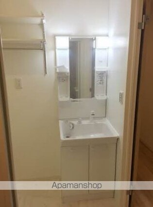 シャーメゾンカラマ[2LDK/57.92m2]の洗面所